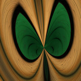 Looking In by Vic Eberly