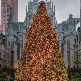 Lotte NY Palace Xmas by Susan Candelario