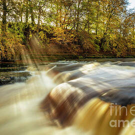Lower Aysgarth falls, River Ure, Wensleydale, Yorkshire Dales, North Yorkshire, England, UK by Neale And Judith Clark