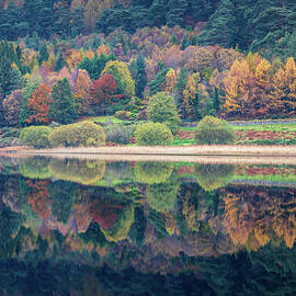 Lower Lake Reflections, Glendalough, Wicklow by Adrian Hendroff