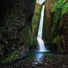 Lower Oneonta Falls, Oregon - Vertical by Abbie Warnock