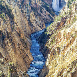 Lower Yellowstone Falls by Shirley Mitchell