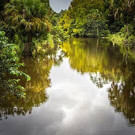 Loxahatchee River Battlefield Park by Rebecca Herranen