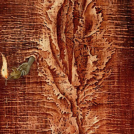 Luz emergente - Emerging light by Remedios Varo by Remedios Varo