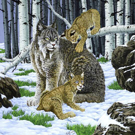 Lynx Mother And Cubs In Winter by R G Finney