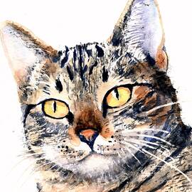 Mackerel Tabby Cat by Carlin Blahnik CarlinArtWatercolor
