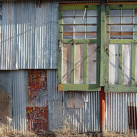 Madrid Doors No Steps by Mary Lee Dereske