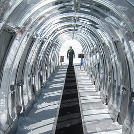 Magic Carpet Ride by Mary Lee Dereske