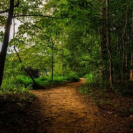 Magic Hour on the Whitewater Creek Trail by Anthony Hightower