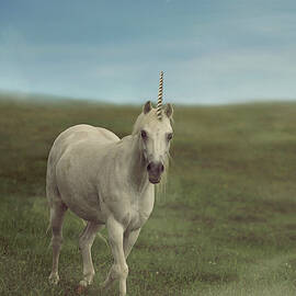 Magical Unicorn by Carrie Ann Grippo-Pike