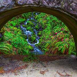 Magical Waterfall by DeAnna Lord