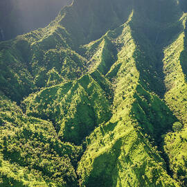 Magnificent Green by Slow Fuse Photography