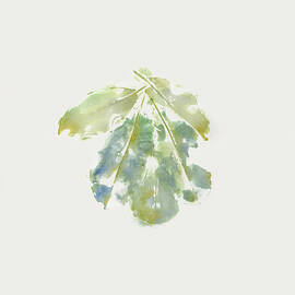 Magnolia Leaf, Monoprint Essence of Colors by Elizabeth Reich