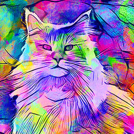 Maine Coon cat looking at camera - colorful lines digital painting by Nicko Prints