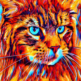Maine Coon cat watching something - colorful dark orange, red and cyan portrait by Nicko Prints