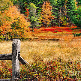 Maine Fall Scene by Olivier Le Queinec