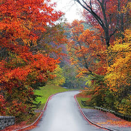 Majestic Autumn Road by Jessica Jenney