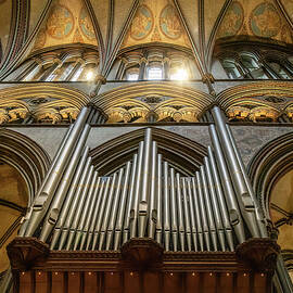 Majestic Cathedral Organ by Shirley Mitchell