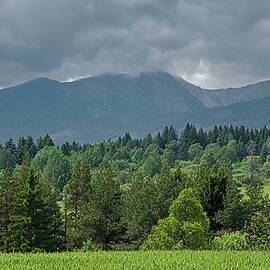 Majestic Mountain Landscape with Forest by Robert Grac