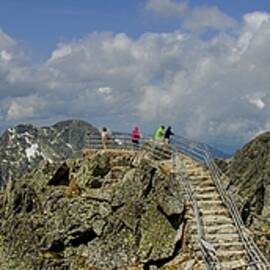 Majestic Mountain Panorama by Robert Grac