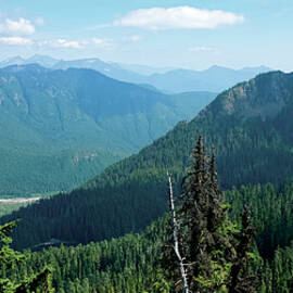 Majestic Mountain Range View by Tony Perl