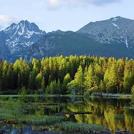 Majestic Mountains and Forest Reflection by Robert Grac