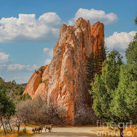 Majestic Rocky Landscape with Sheep by Shirley Dutchkowski