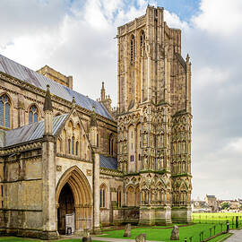 Majestic Wells Cathedral by Shirley Mitchell