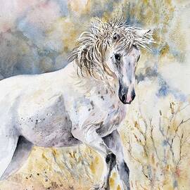 Majestic White Horse in Motion by Amanda Amend