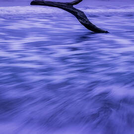 Make A Wish Edisto Island SC by Susan Candelario