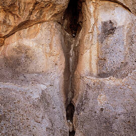 Make of It What You Will by Mary Lee Dereske