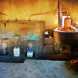 Making Mezcal by William Scott Koenig