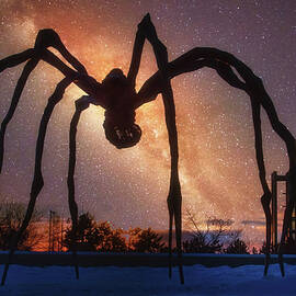 Maman Spider on Starry Sky by Tatiana Travelways