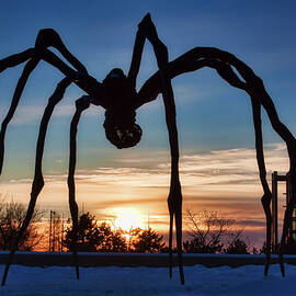 Maman the Spider, Ottawa by Tatiana Travelways