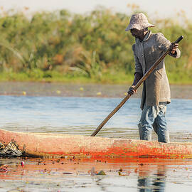 Man Paddling on a Calm Lake by Jean Noren