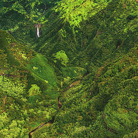 Manawaiopuna Falls and River - Kauai, Hawaii by Abbie Warnock