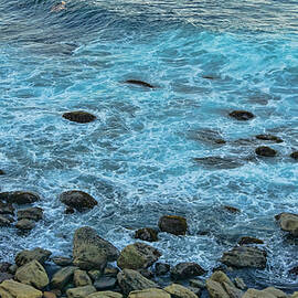 Manly Beach Point by Waterdancer