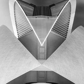 Mantis, Palau de les Arts Reina Sofia, Valencia - Portrait Version by Adrian Hendroff