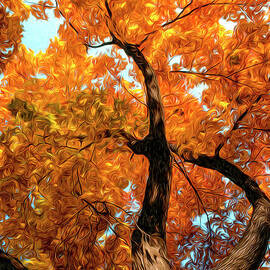 Maple tree on Ann Street by William Gunn