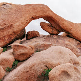 March 2021 Arch by Alain Zarinelli