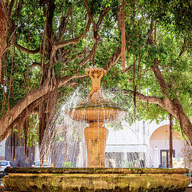 Marsala Sicily Fountain by Craig A Walker