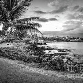 Maui Hawaii Wailea Sunrise Black and White Photo by Paul Velgos