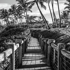 Maui Wailea Beach Path Black and White Photo by Paul Velgos