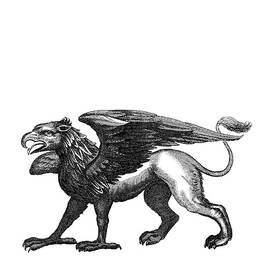 Medieval Griffin by Madame Memento