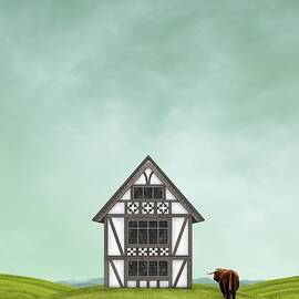 Over the Hills, and far away by Moira Risen