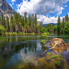Merced River flowing through Yosemite National Park in California, USA by Miroslav Liska