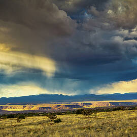 Mesa Light by Howard Holley