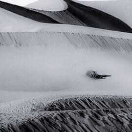 Mesquite Dunes in Death Valley Black and White by Rebecca Herranen
