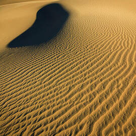 Mesquite Flats sand dune patterns, Death Valley, California by Neale And Judith Clark