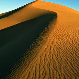 Mesquite Flats sand dunes, Death Valley, California by Neale And Judith Clark